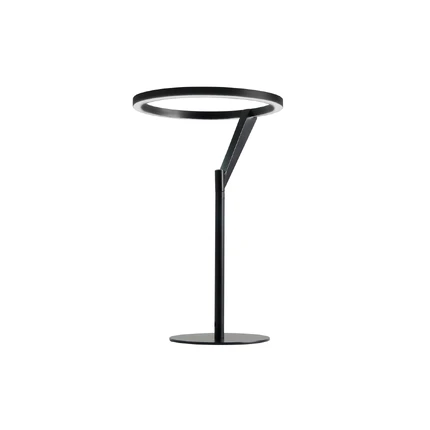 Декоративная настольная лампа Divinare SOLE 3234/06 TL-1